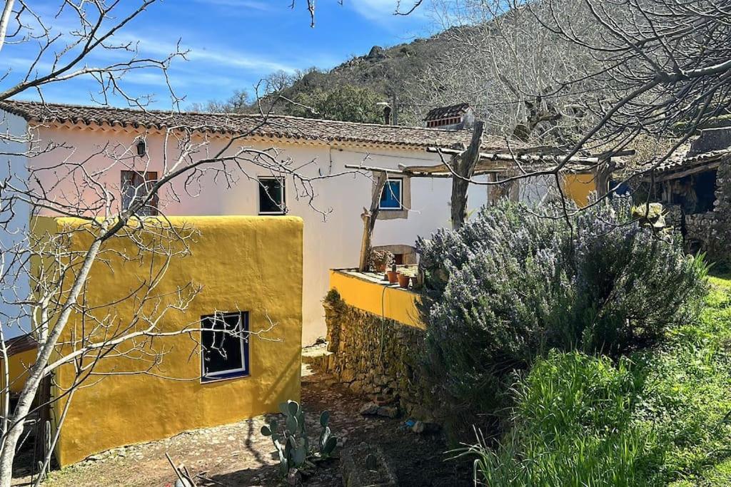 Art-marvao, Rural *