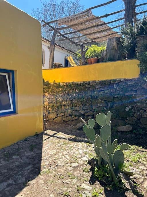 Art-marvao, Rural