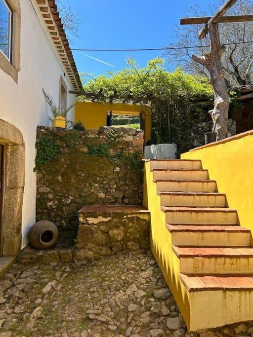 Art-marvao, Rural