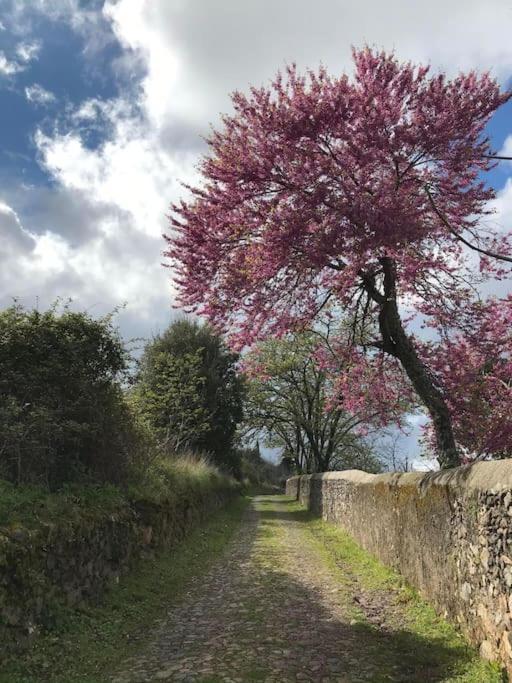 Art-marvao, Rural Holiday home Marvao (Portalegre)
