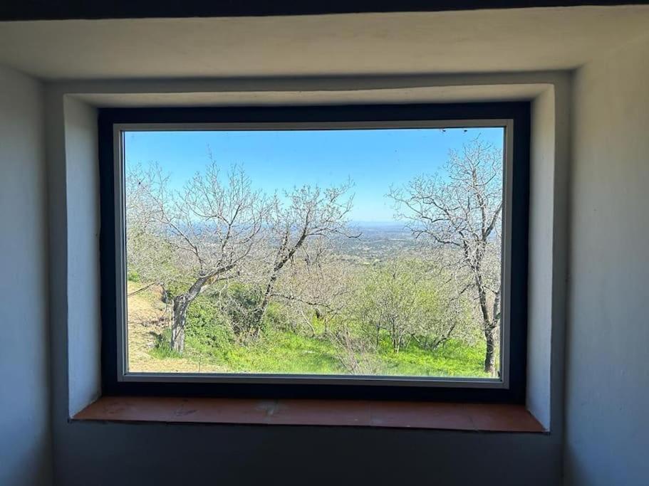 Art-marvao, Rural Holiday home