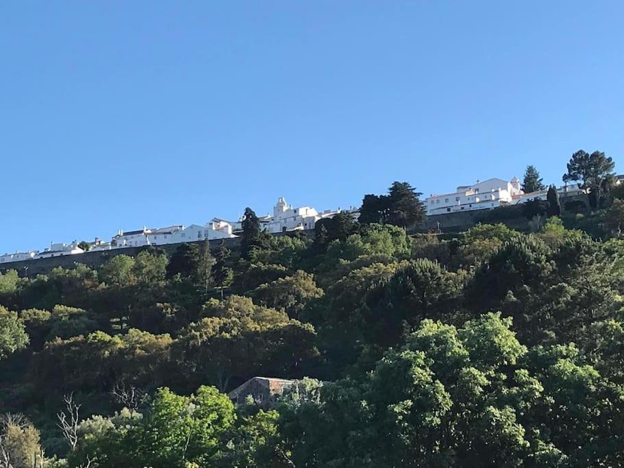 Art-marvao, Rural
